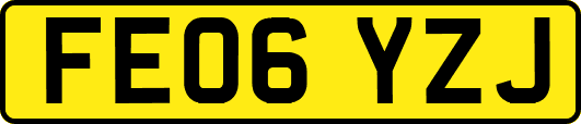 FE06YZJ