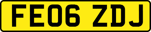 FE06ZDJ