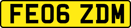 FE06ZDM