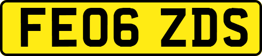 FE06ZDS