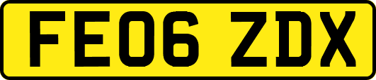 FE06ZDX