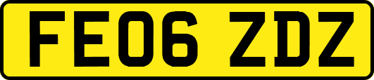 FE06ZDZ