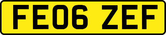 FE06ZEF