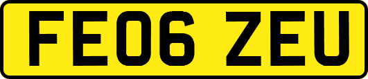 FE06ZEU