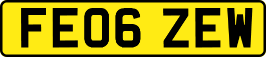 FE06ZEW