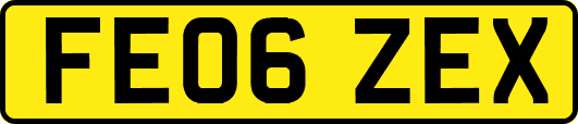 FE06ZEX