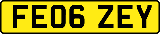 FE06ZEY