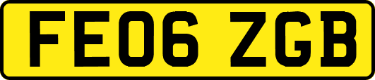 FE06ZGB