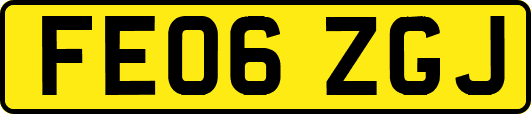 FE06ZGJ