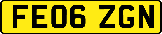 FE06ZGN
