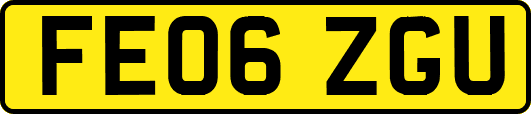 FE06ZGU