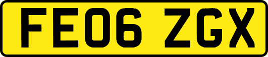 FE06ZGX