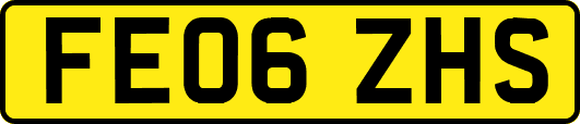FE06ZHS