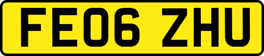 FE06ZHU