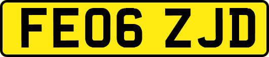 FE06ZJD