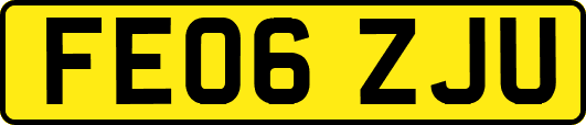 FE06ZJU