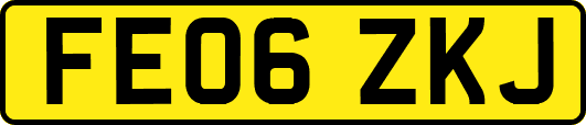 FE06ZKJ