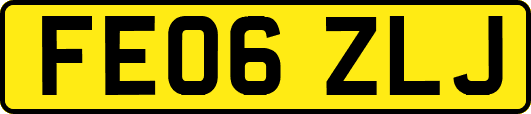FE06ZLJ