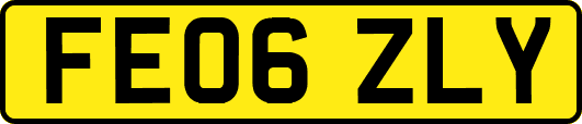 FE06ZLY