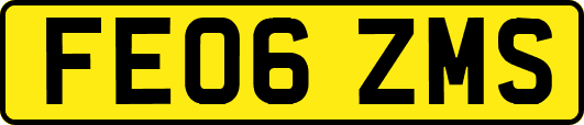 FE06ZMS