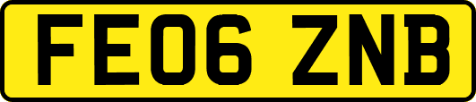 FE06ZNB