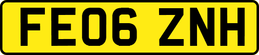 FE06ZNH