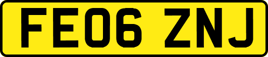 FE06ZNJ