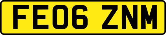 FE06ZNM