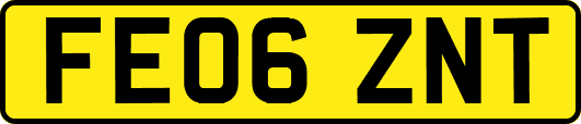 FE06ZNT