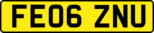 FE06ZNU