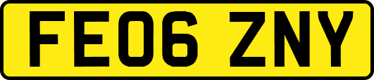 FE06ZNY