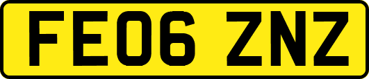 FE06ZNZ