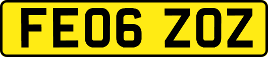 FE06ZOZ
