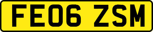 FE06ZSM