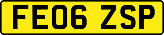 FE06ZSP