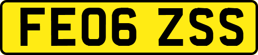 FE06ZSS