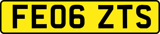 FE06ZTS