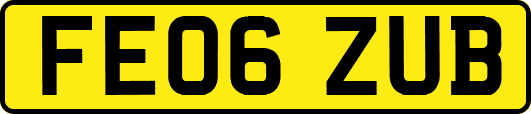 FE06ZUB