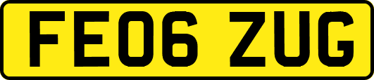 FE06ZUG