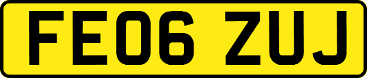 FE06ZUJ