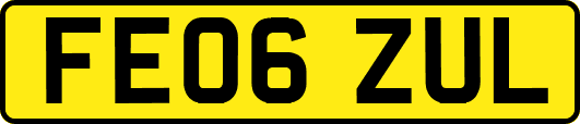 FE06ZUL