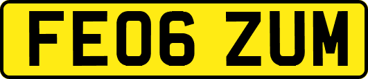 FE06ZUM