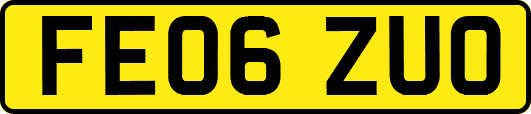 FE06ZUO