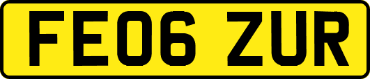 FE06ZUR
