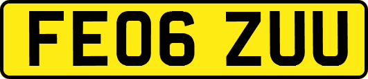FE06ZUU