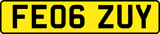 FE06ZUY