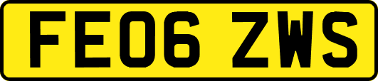 FE06ZWS