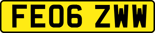 FE06ZWW