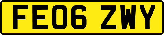 FE06ZWY
