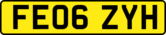 FE06ZYH